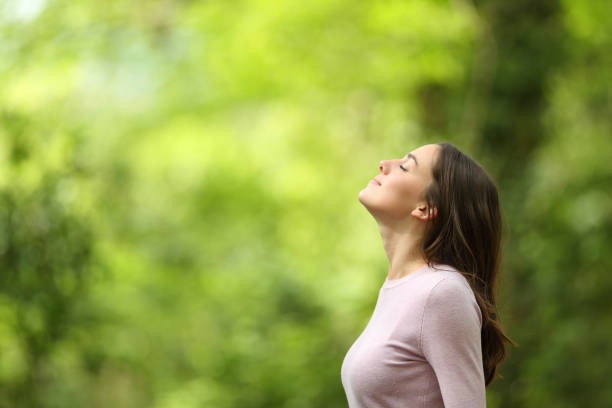 The Role of Vitamin D in Preventing Fatigue